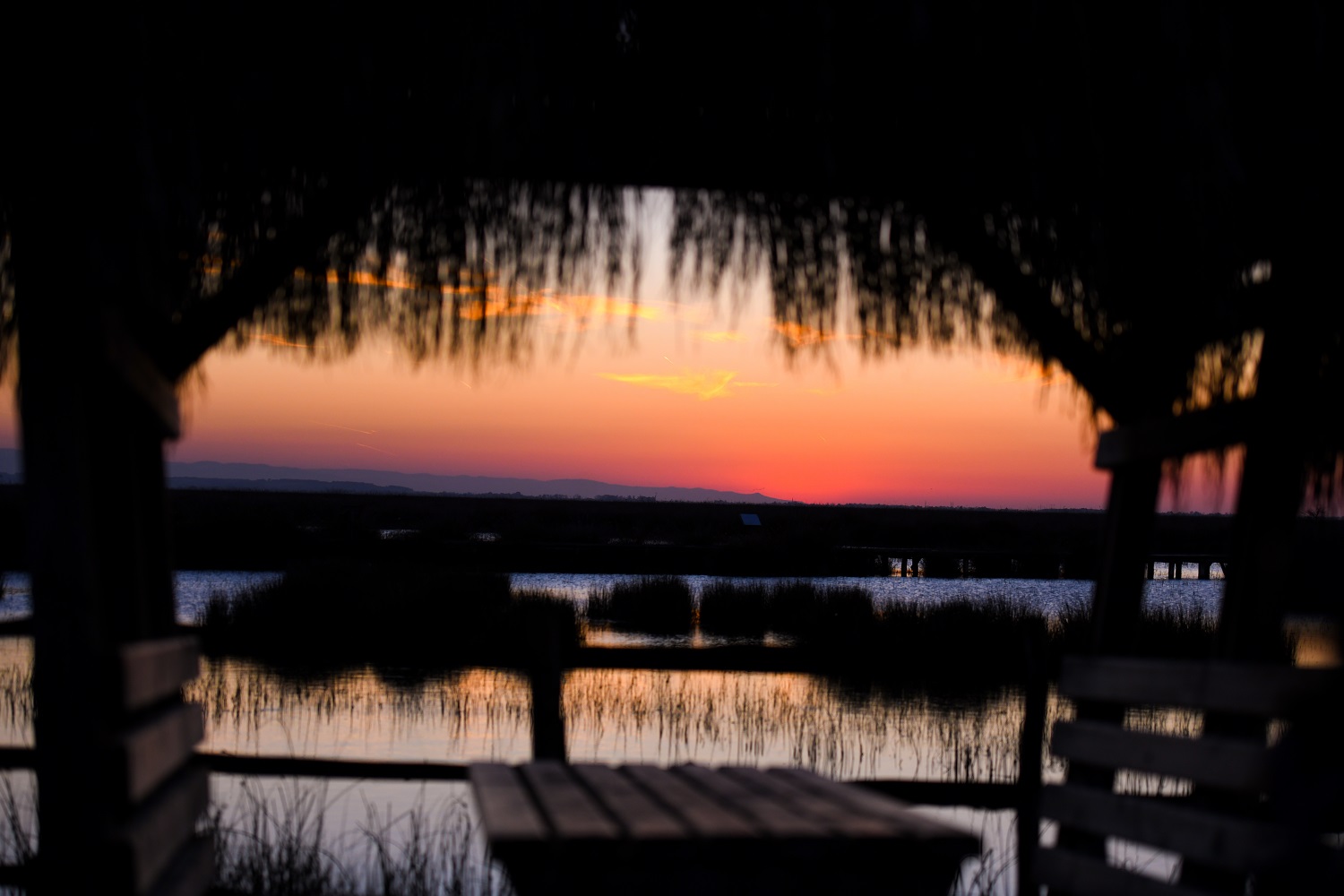 Samsun’da Gündem ve Samsunspor: Şehir Haberleri ve Spor Dünyası