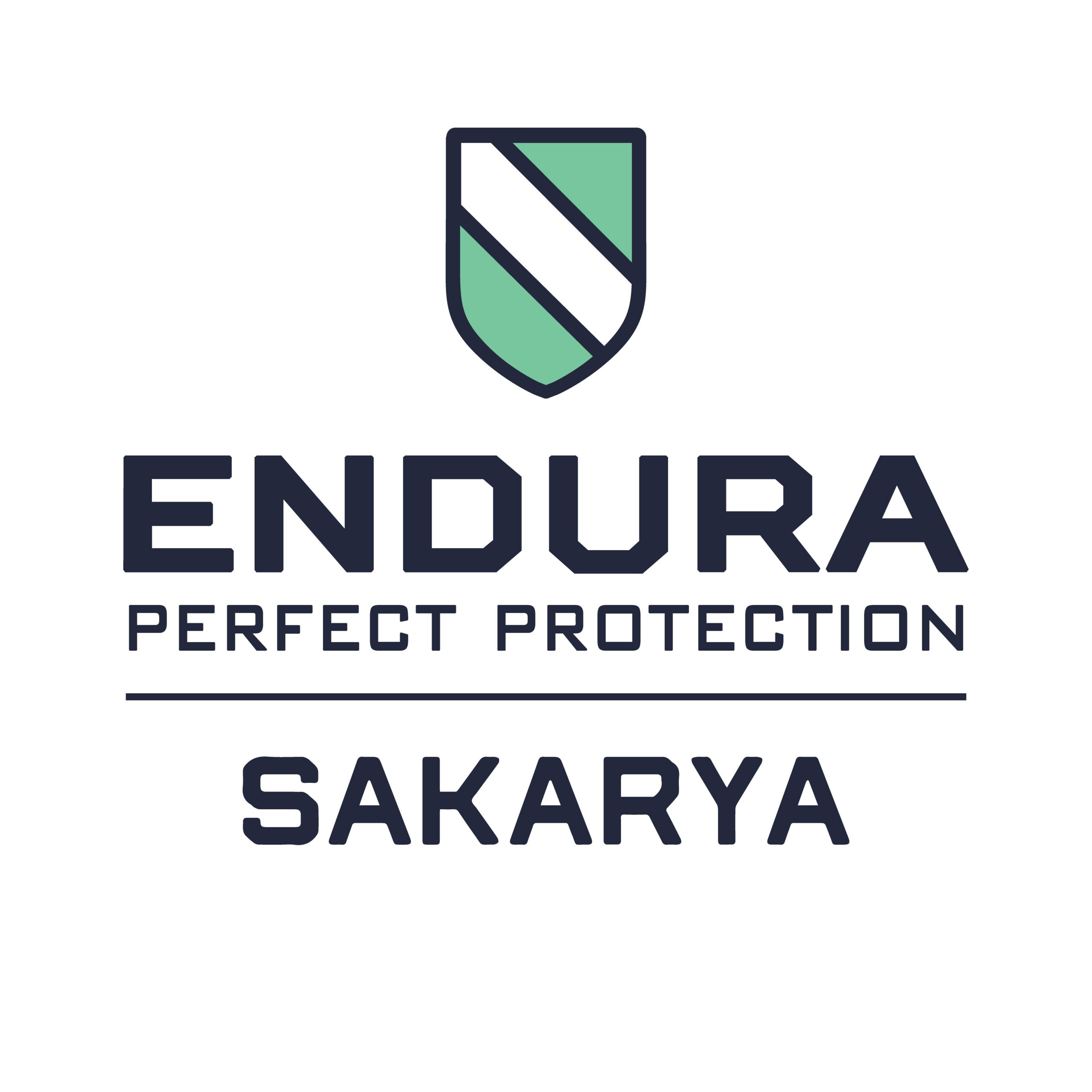 Endura Sakarya – Oto Cam Filmi Uygulaması: Konfor, Estetik ve Güvenliği Bir Araya Getirin