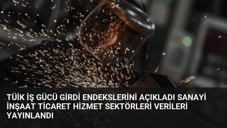 TÜİK İş Gücü Girdi Endekslerini Açıkladı Sanayi İnşaat Ticaret Hizmet Sektörleri Verileri Yayınlandı