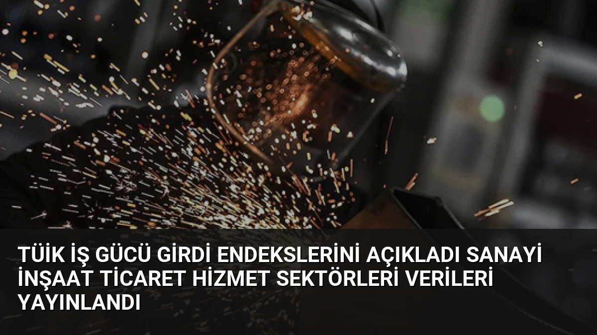 TÜİK İş Gücü Girdi Endekslerini Açıkladı Sanayi İnşaat Ticaret Hizmet Sektörleri Verileri Yayınlandı