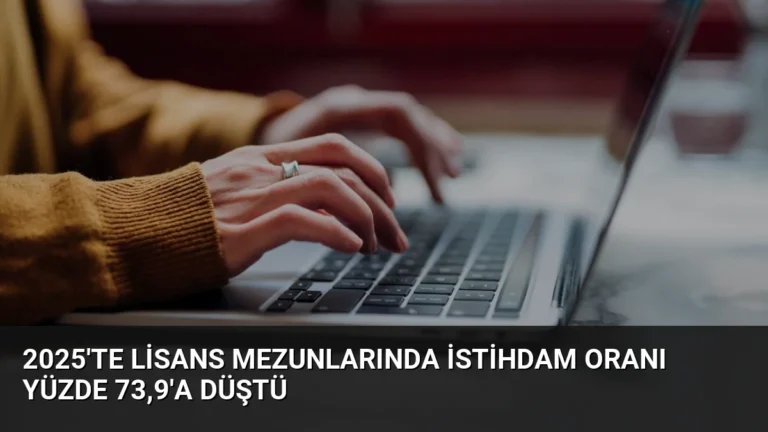 2025’te Lisans Mezunlarında İstihdam Oranı Yüzde 73,9’a Düştü
