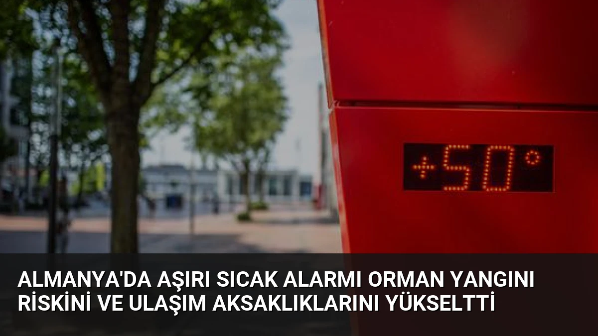 Almanya’da aşırı sıcak alarmı orman yangını riskini ve ulaşım aksaklıklarını yükseltti