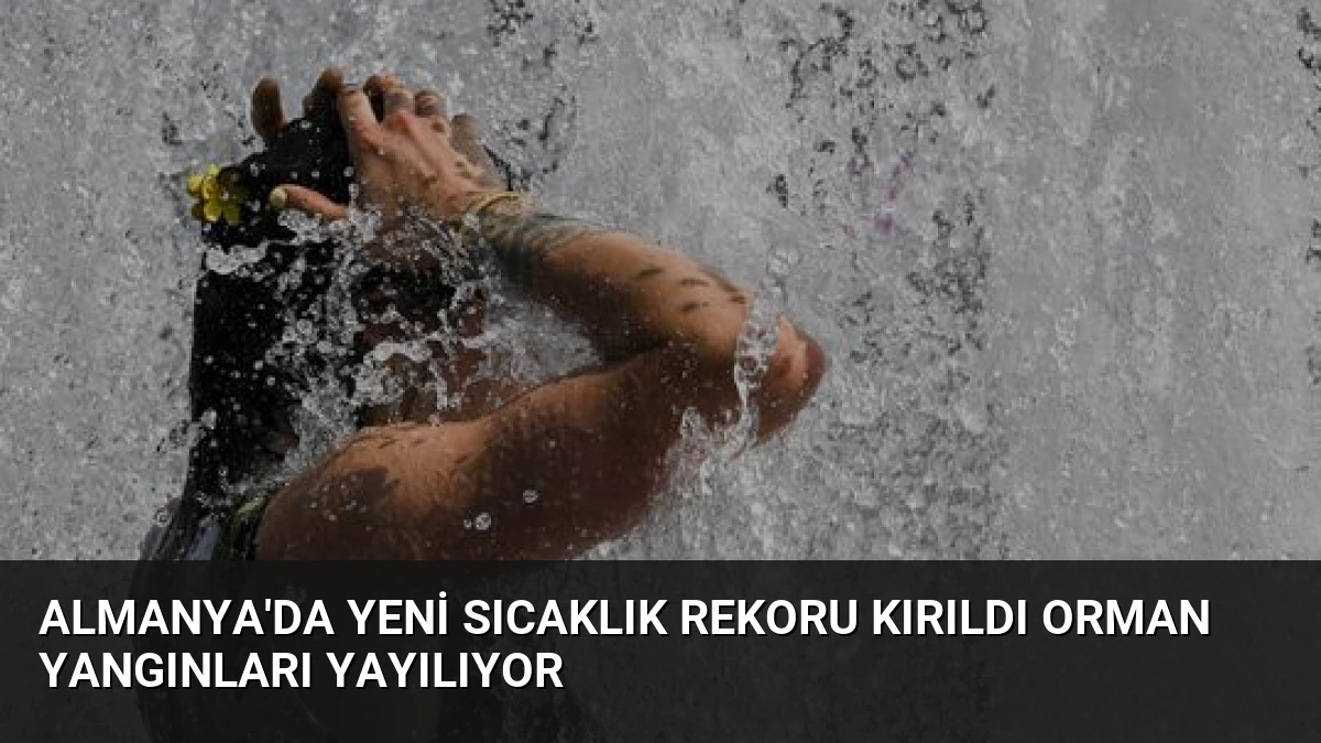 Almanya’da Yeni Sıcaklık Rekoru Kırıldı Orman Yangınları Yayılıyor