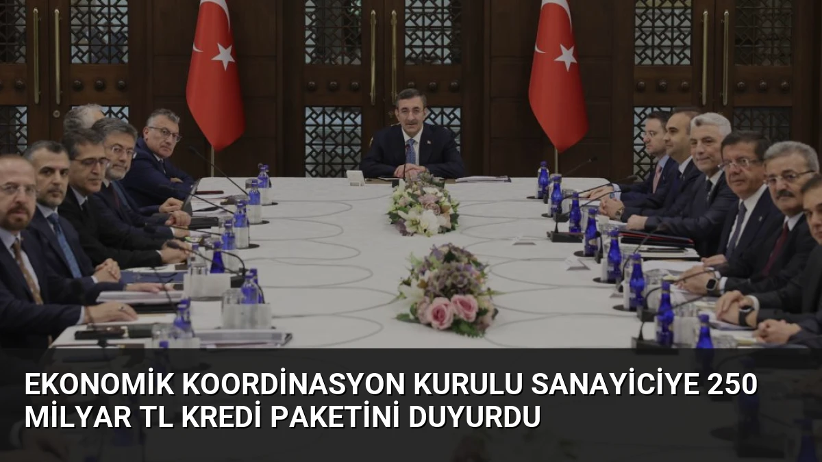 Ekonomik Koordinasyon Kurulu Sanayiciye 250 Milyar TL Kredi Paketini Duyurdu