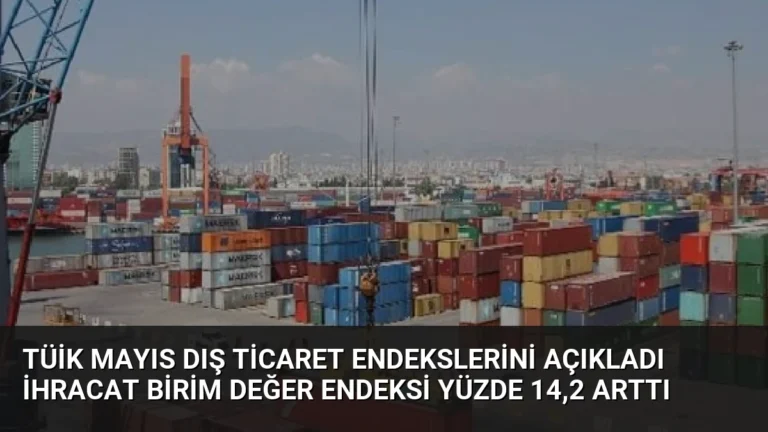 TÜİK Mayıs Dış Ticaret Endekslerini Açıkladı İhracat Birim Değer Endeksi Yüzde 14,2 Arttı