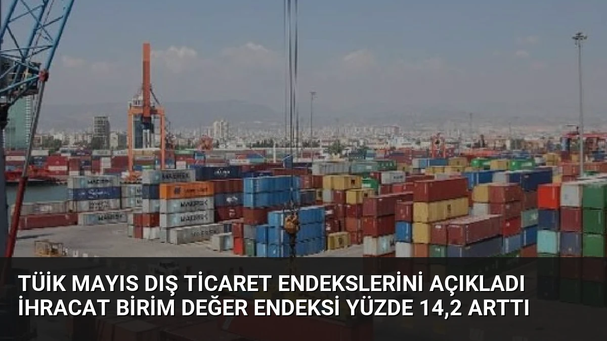 TÜİK Mayıs Dış Ticaret Endekslerini Açıkladı İhracat Birim Değer Endeksi Yüzde 14,2 Arttı
