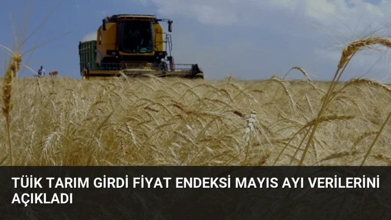 TÜİK Tarım Girdi Fiyat Endeksi Mayıs Ayı Verilerini Açıkladı