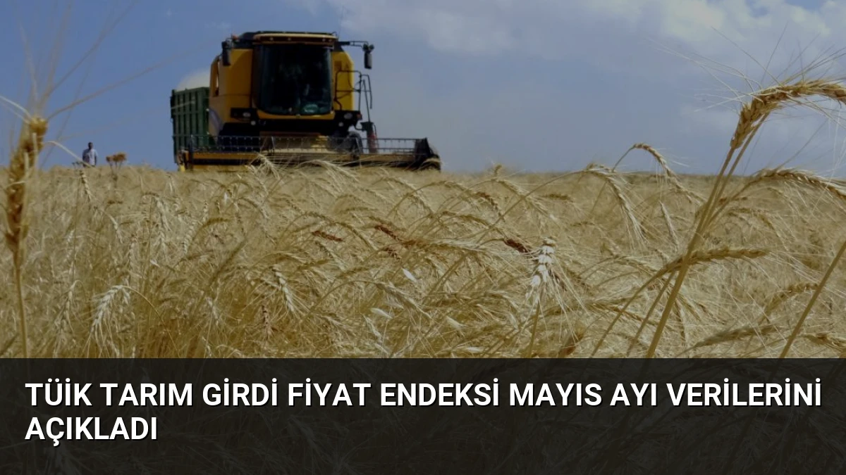 TÜİK Tarım Girdi Fiyat Endeksi Mayıs Ayı Verilerini Açıkladı