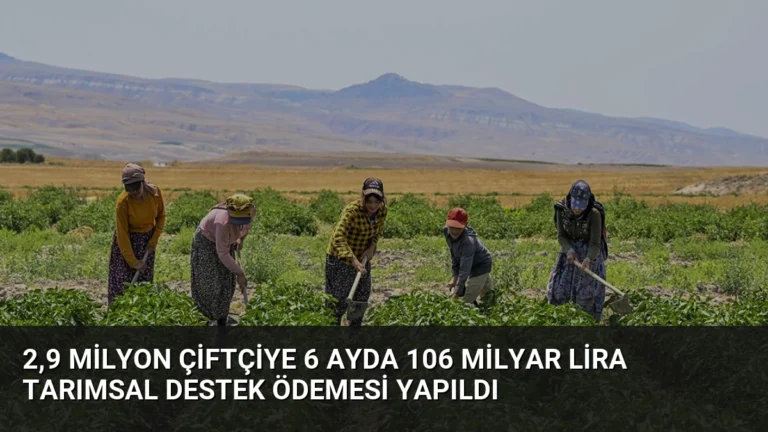 2,9 Milyon Çiftçiye 6 Ayda 106 Milyar Lira Tarımsal Destek Ödemesi Yapıldı