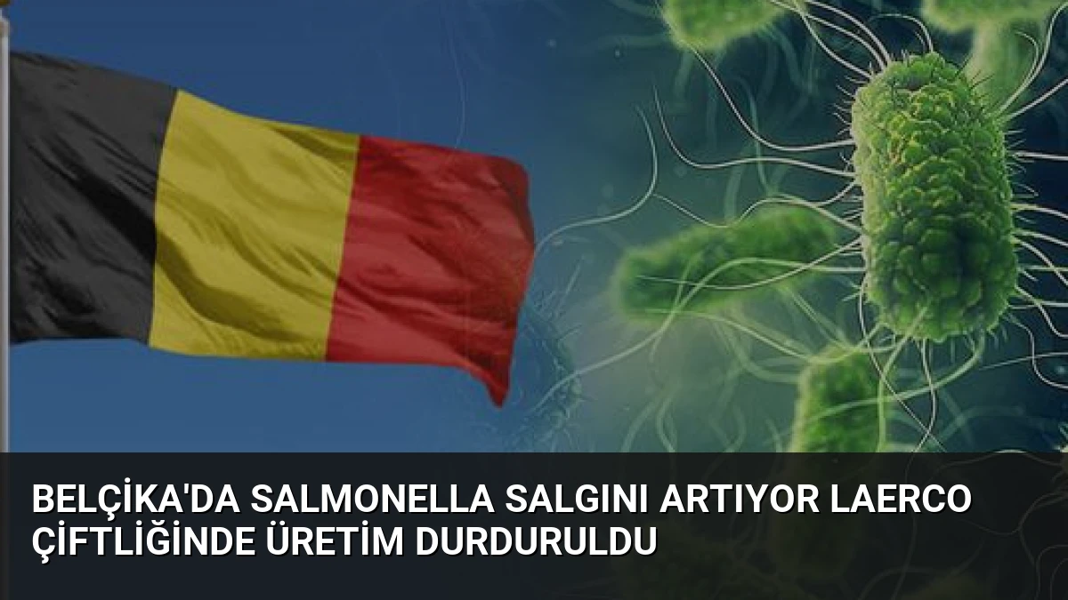 Belçika’da Salmonella Salgını Artıyor Laerco Çiftliğinde Üretim Durduruldu