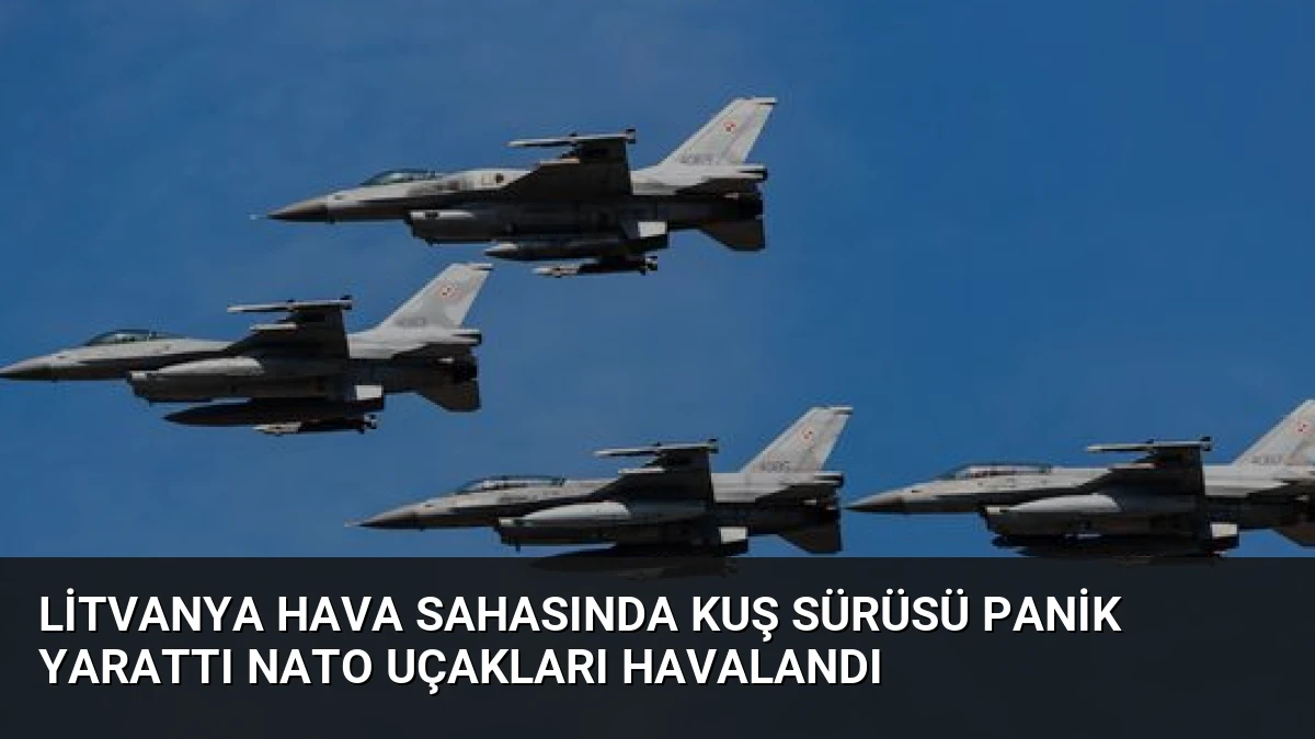 Litvanya Hava Sahasında Kuş Sürüsü Panik Yarattı NATO Uçakları Havalandı