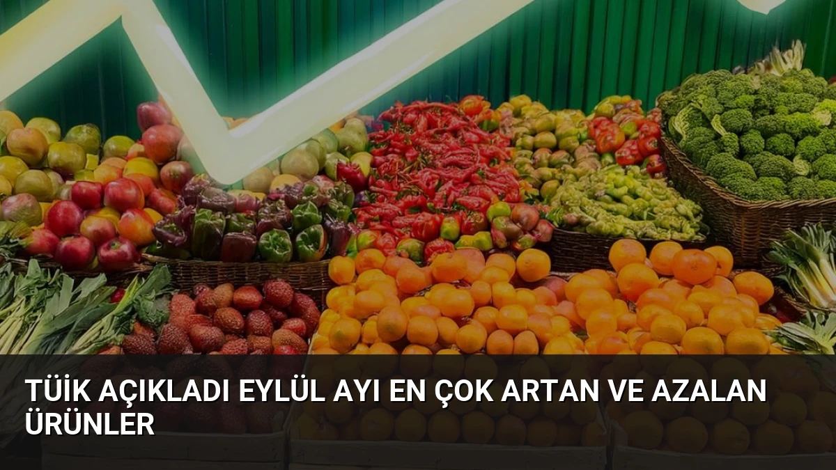 TÜİK Açıkladı Eylül Ayı En Çok Artan ve Azalan Ürünler