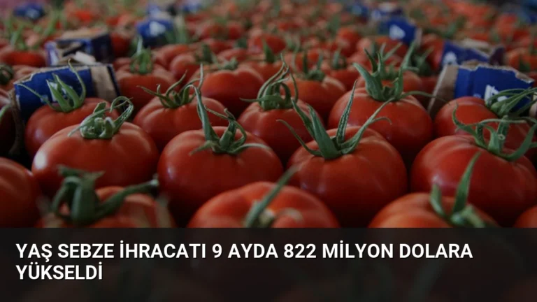 Yaş Sebze İhracatı 9 Ayda 822 Milyon Dolara Yükseldi